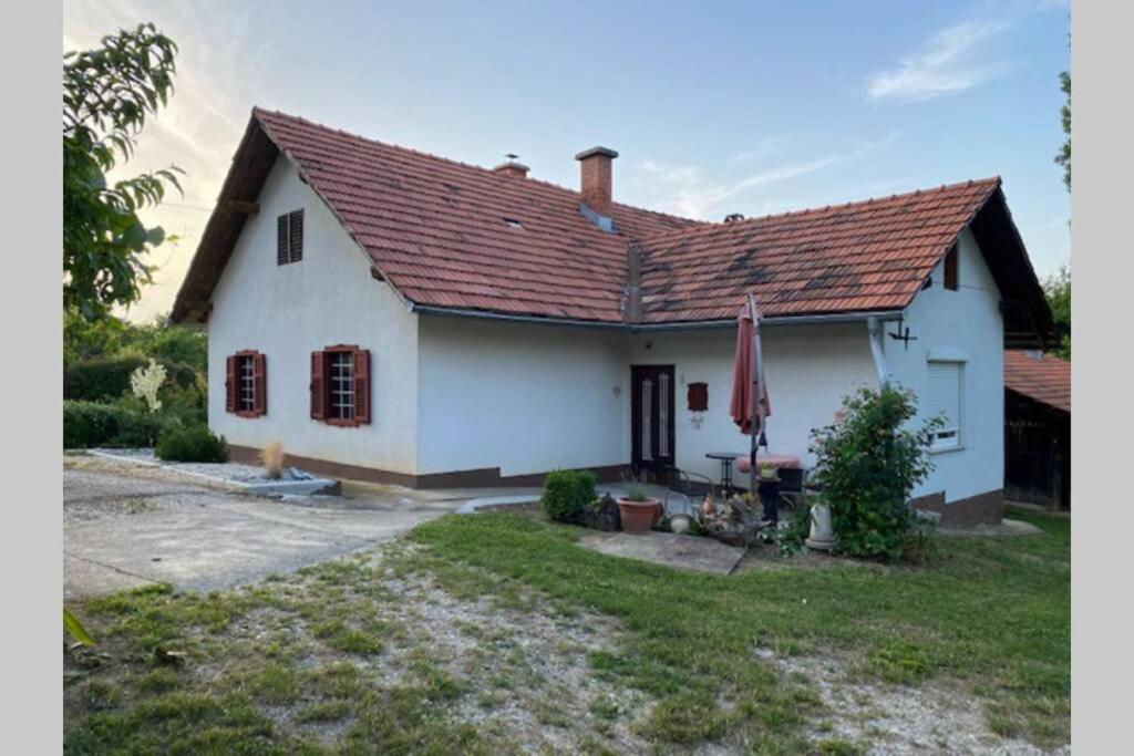 Zivahna Hisa Vila Sveti Jurij ob Scavnici Exterior foto